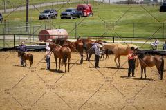 PCSC051819_3672