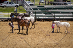 PCSC051819_3673