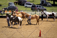 PCSC051819_3674