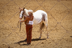 PCSC051819_3691