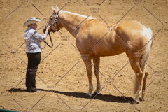 PCSC051819_3703