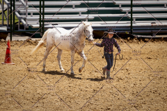 PCSC051819_3726