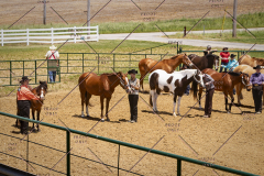 PCSC051819_3743