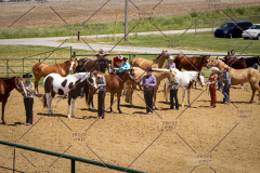 PCSC051819_3744