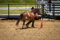 PCSC051819_3752