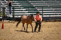 PCSC051819_3754