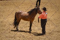 PCSC051819_3760