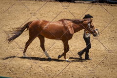PCSC051819_3766