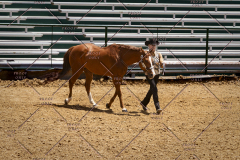 PCSC051819_3778