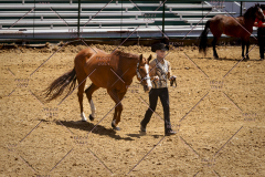 PCSC051819_3782