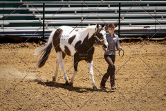 PCSC051819_3800