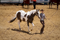PCSC051819_3804