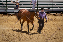 PCSC051819_3814