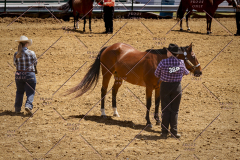 PCSC051819_3819