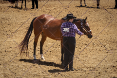 PCSC051819_3822