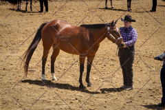 PCSC051819_3823
