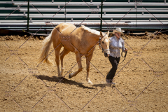 PCSC051819_3831