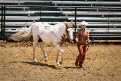 PCSC051819_3841
