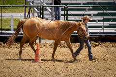 PCSC051819_3856