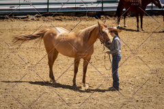 PCSC051819_3864