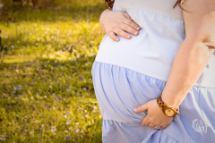 SpringMinis40823_2823