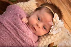 AuerNewborn21724_1262