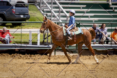 PCSC051819_4100