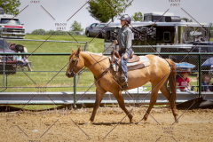 PCSC051819_4237