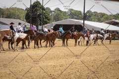 PCSC051819_4258