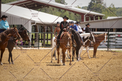 PCSC051819_4271