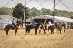 PCSC051819_4397