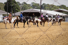 PCSC051819_4574